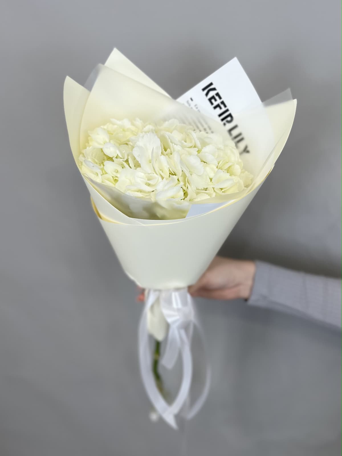 Свежий букет из белой гортензии в упаковке