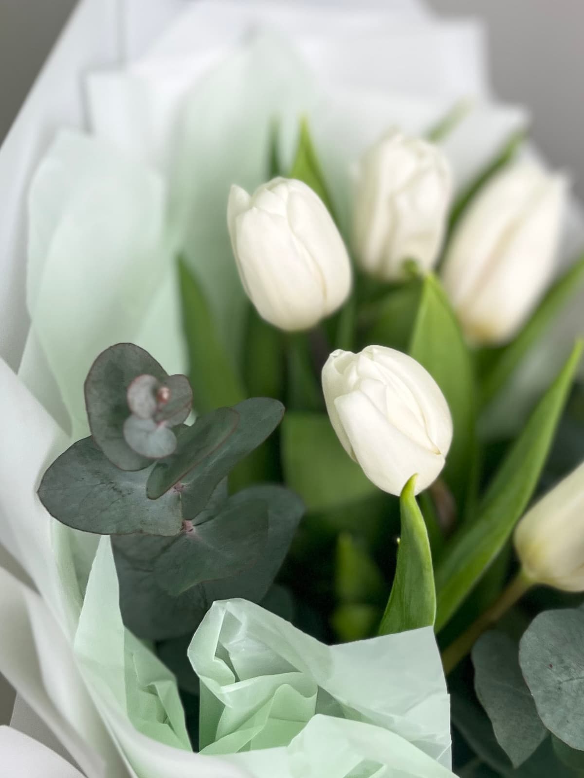 Букет из белых тюльпанов "Поцелуй весны" (7)