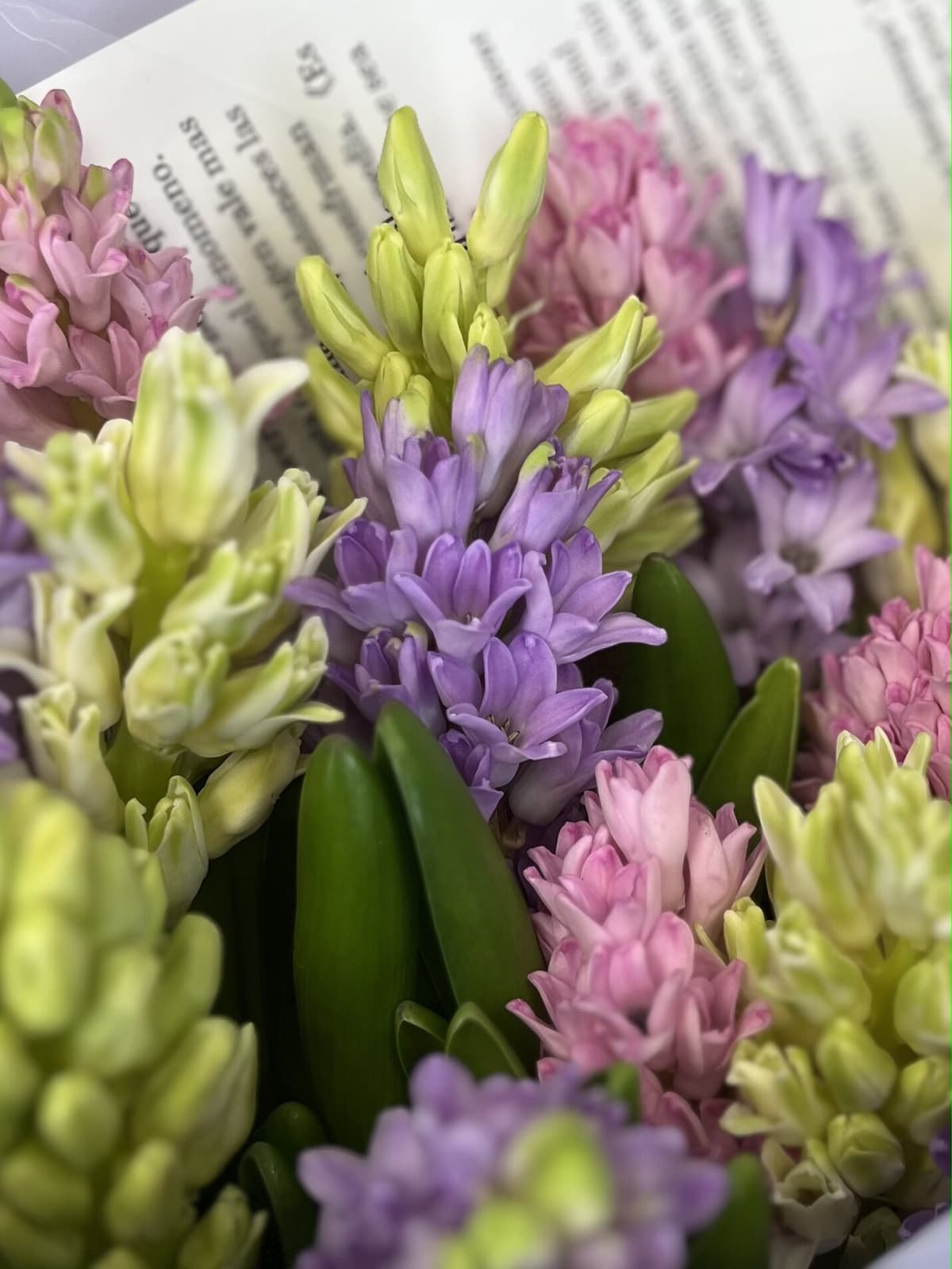 Букет из гиацинтов "Нежность" L Революционная