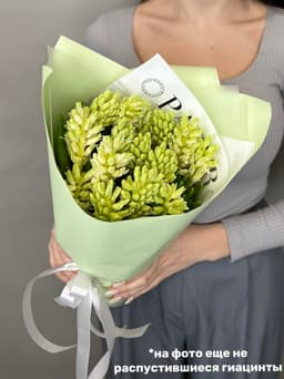 Дизайнерский букет из гиацинтов "Top white" L