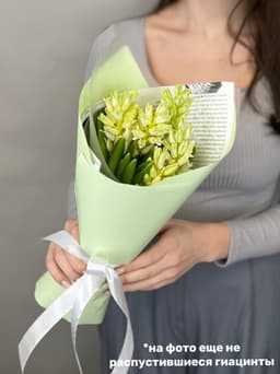 Букет из гиацинтов "Top white" S