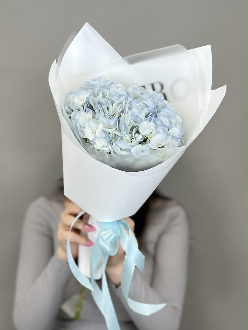 Гортензия Гортензия