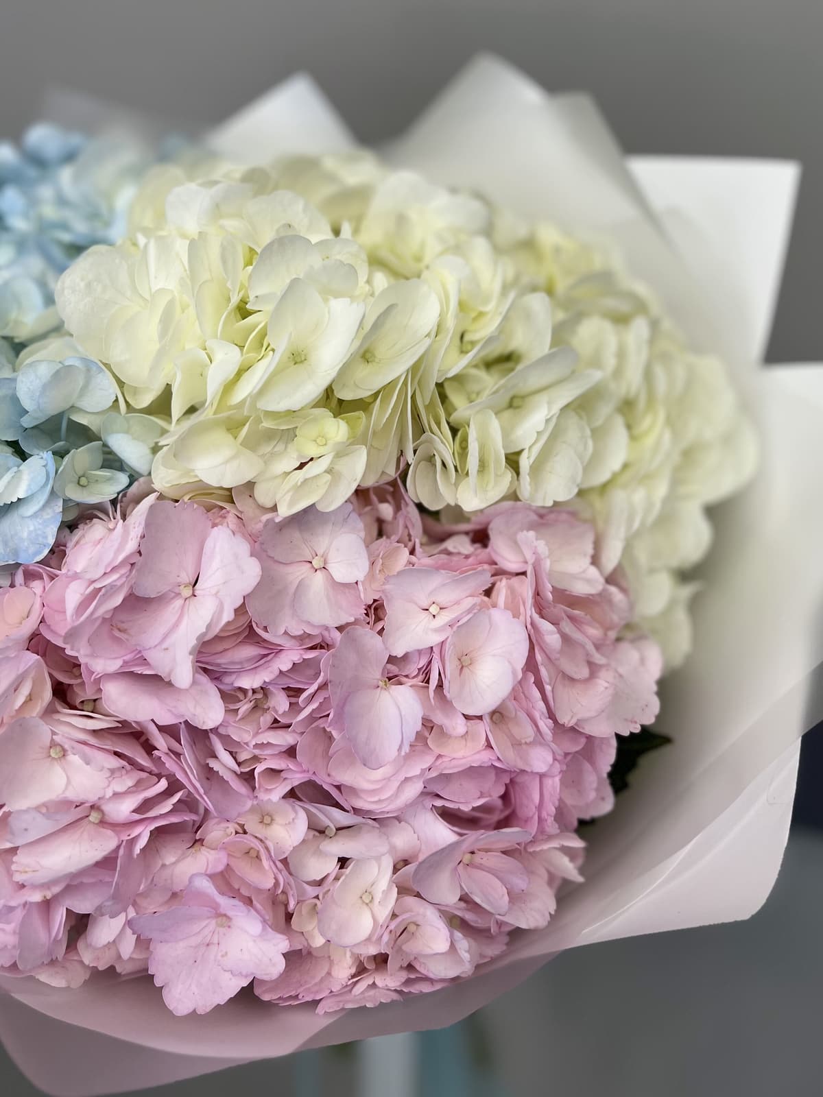 Дизайнерский букет из гортензии "Карамель"