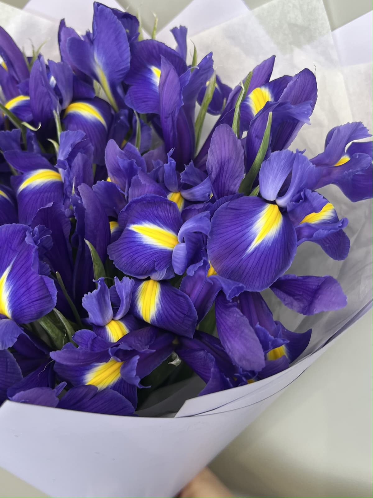 Букет из ирисов "Синяя магия" (15)