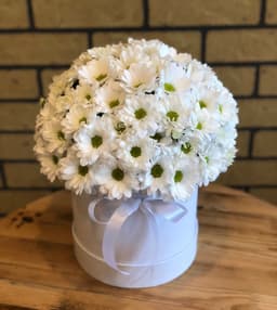 Букет из Хризантемы в коробке