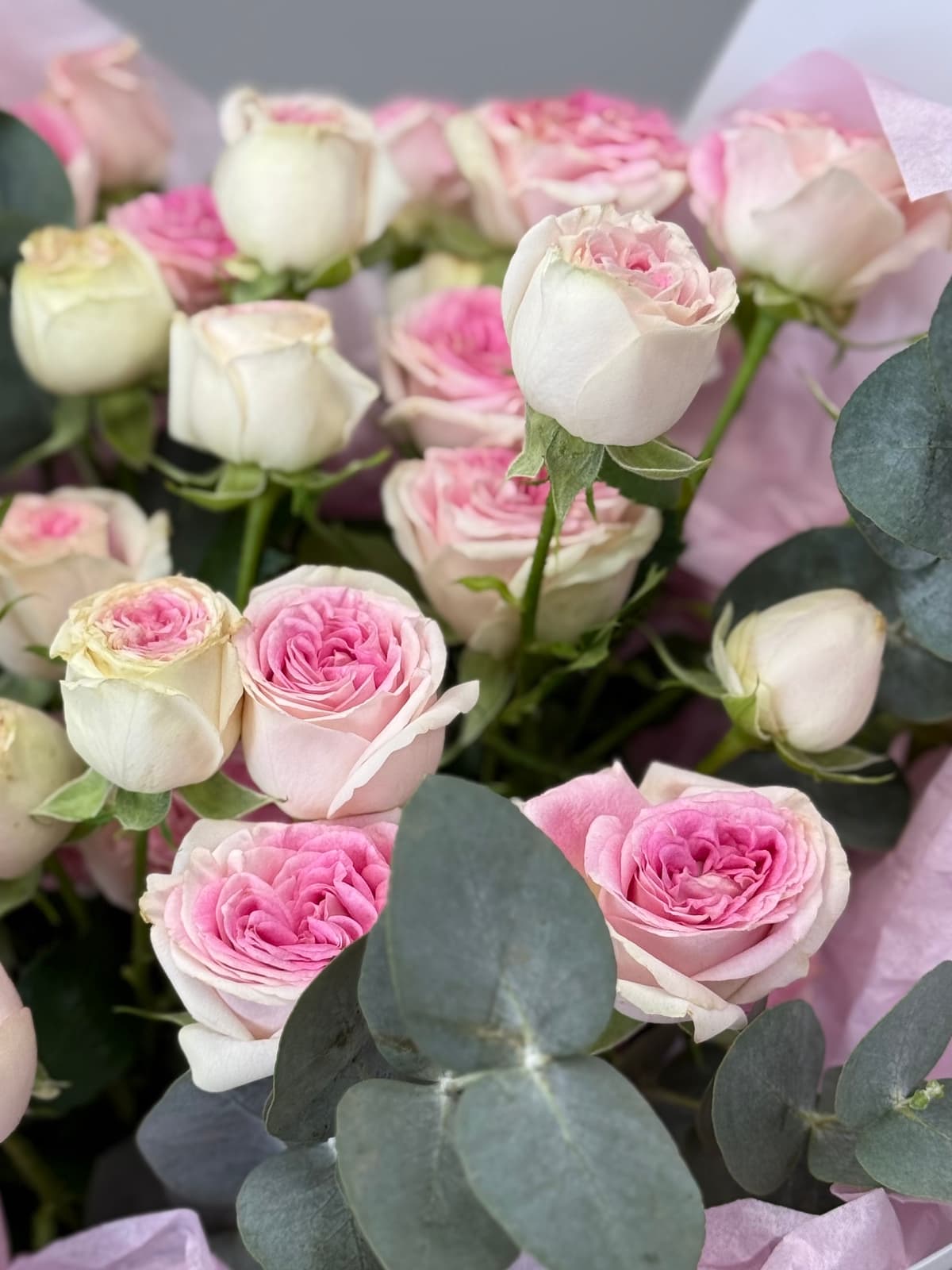 МЕГА АКЦИЯ Букет из кустовых пионовидных роз "Пралине" M