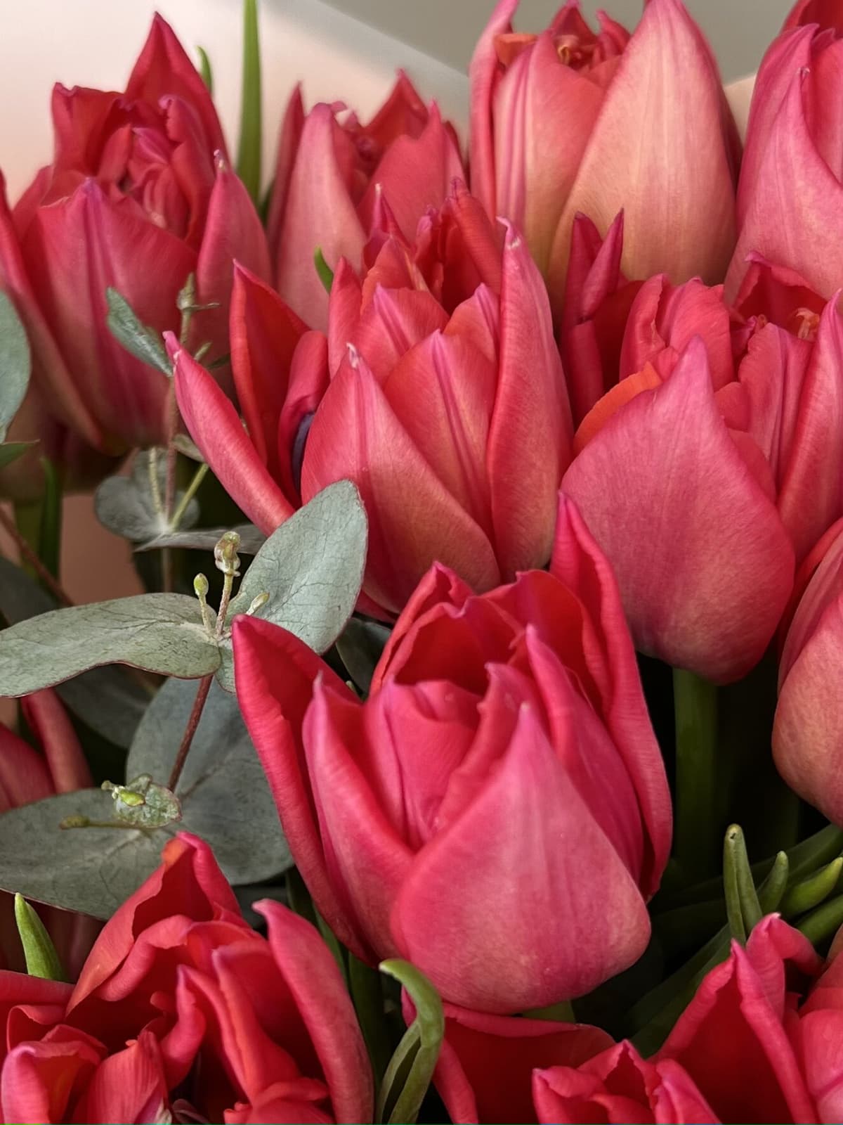 Букет из пионовидных тюльпанов "Raspberry" M