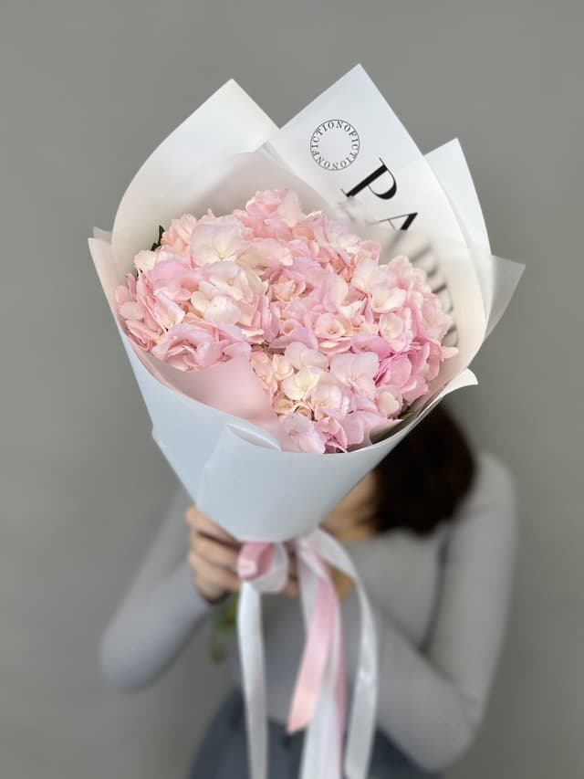 Букет комплимент из розовой гортензии в упаковке Букет комплимент из розовой гортензии в упаковке
