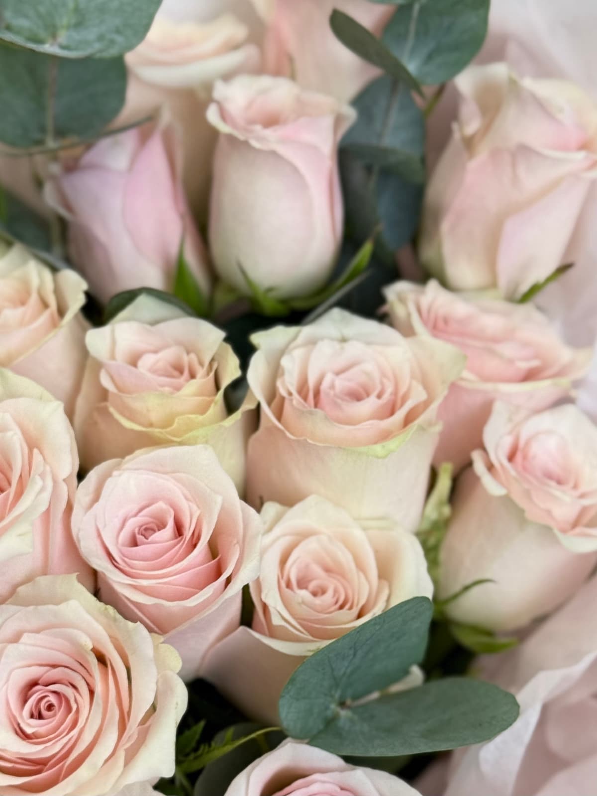 Букет из розовых роз кения "Pink athena" M