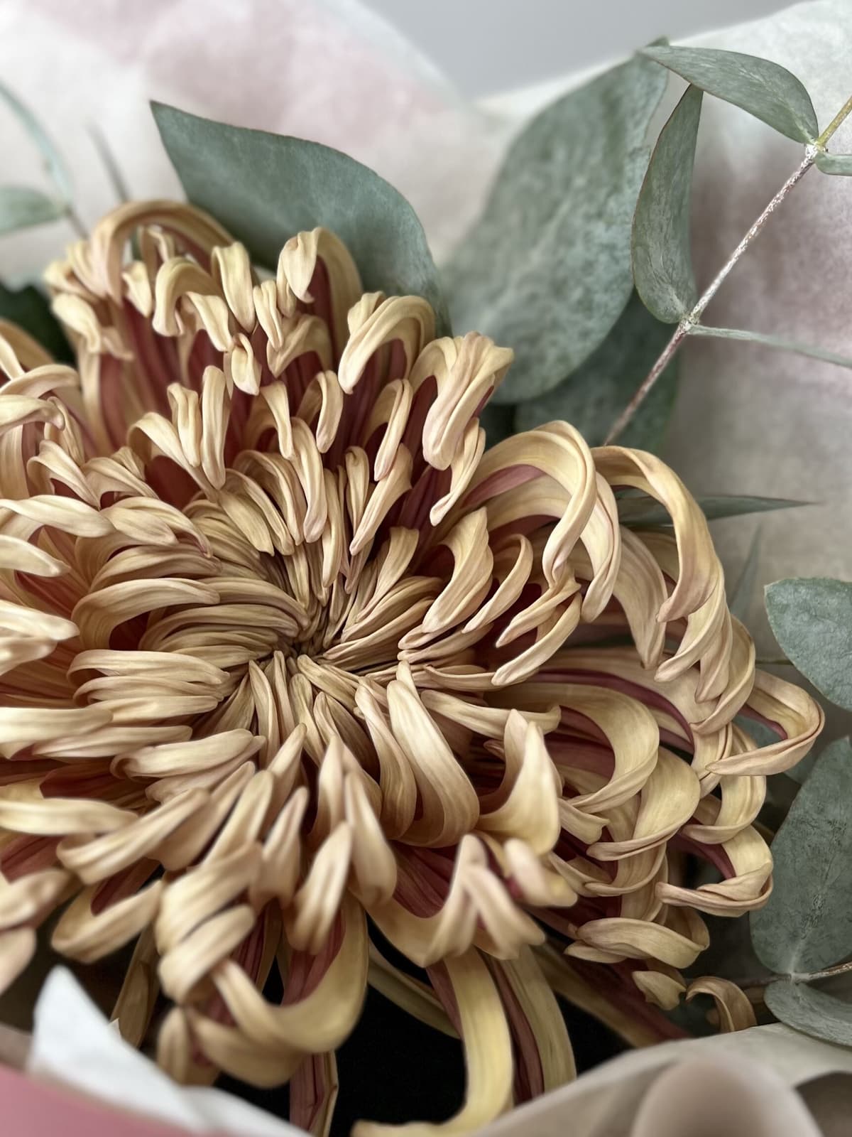 Дизайнерский букет хризантем "Copper" XS