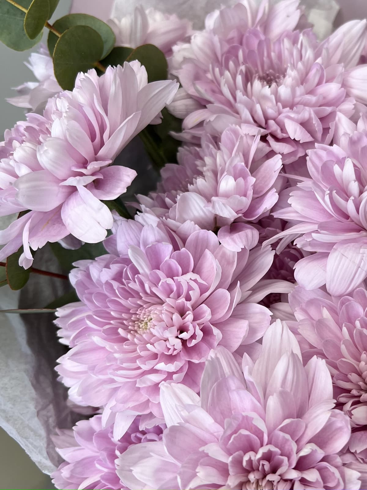 Дизайнерский букет хризантем "Lavander"