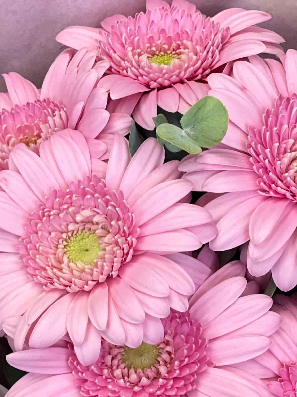 Букет - комплимент "Kimsey"