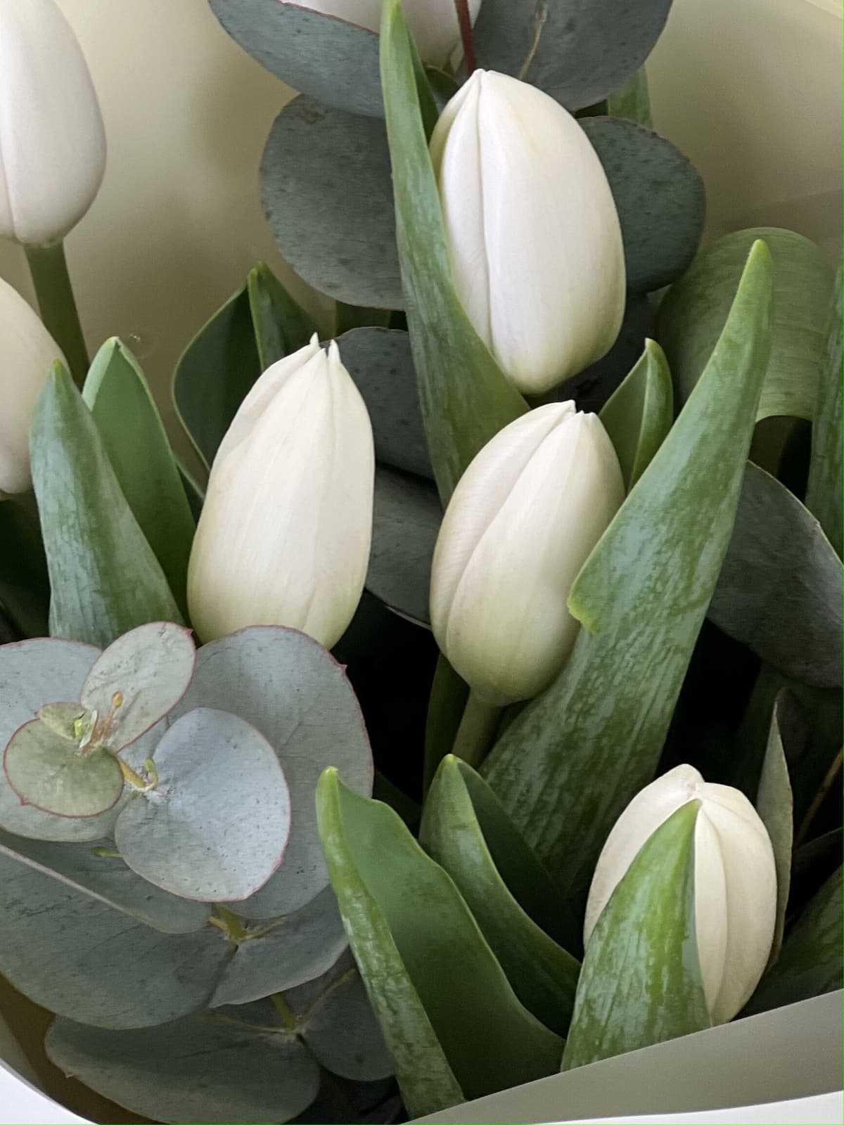 Популярный букет комплимент "Снежный" (5)