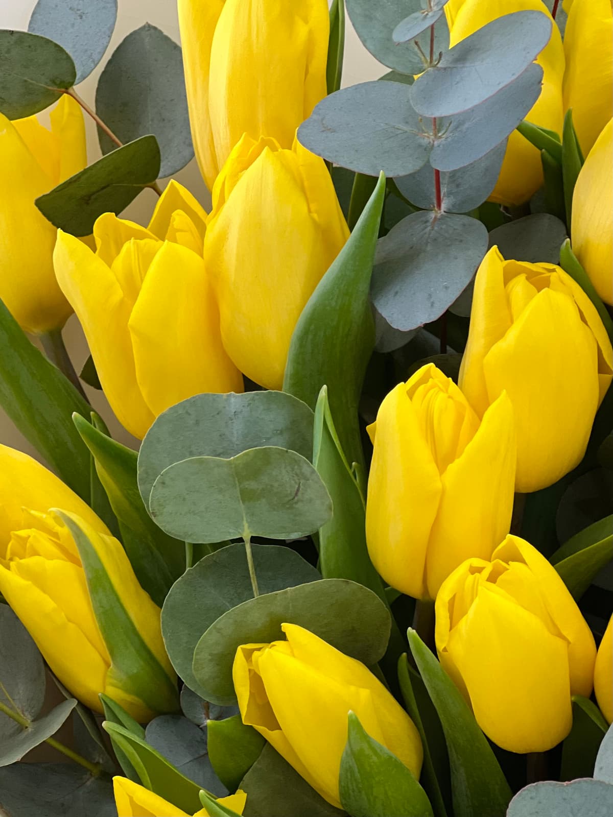 Весенний букет комплимент "Sunny"