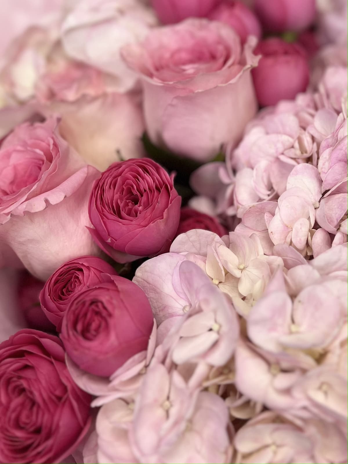 Дизайнерский букет "Magenta" L