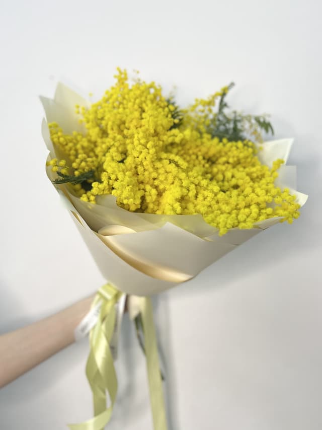 Красивый букет мимозы L Красивый букет мимозы L