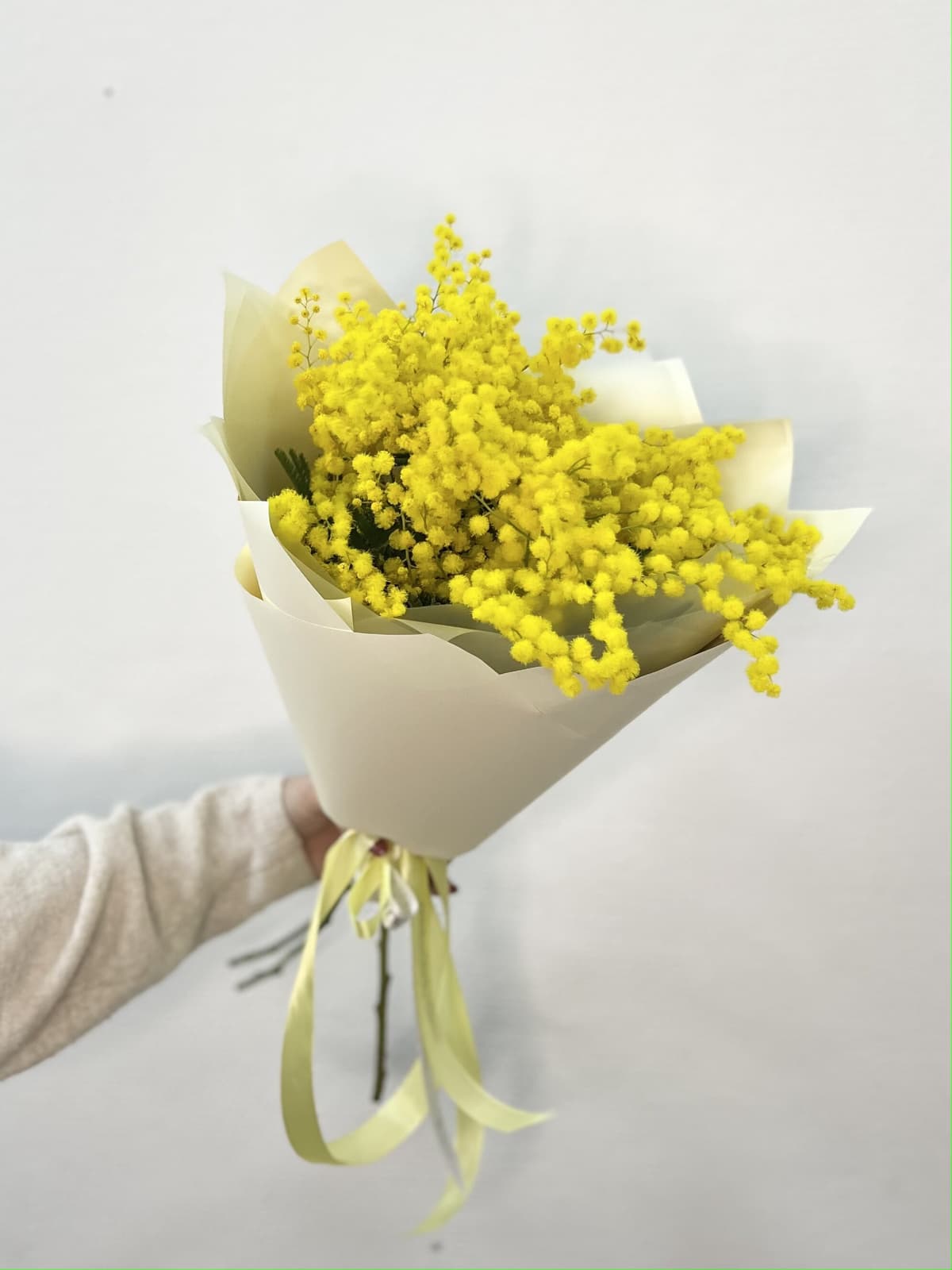 Красочный букет мимозы S