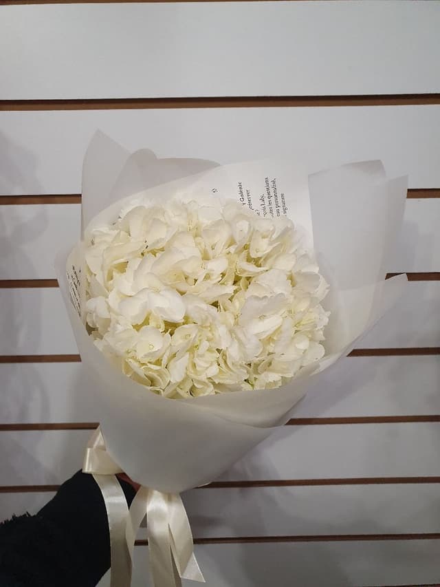 букет менделеева 10612052 букет менделеева 10612052