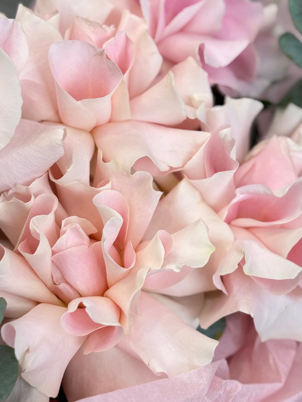 Букет "Розовый пирог" (3)