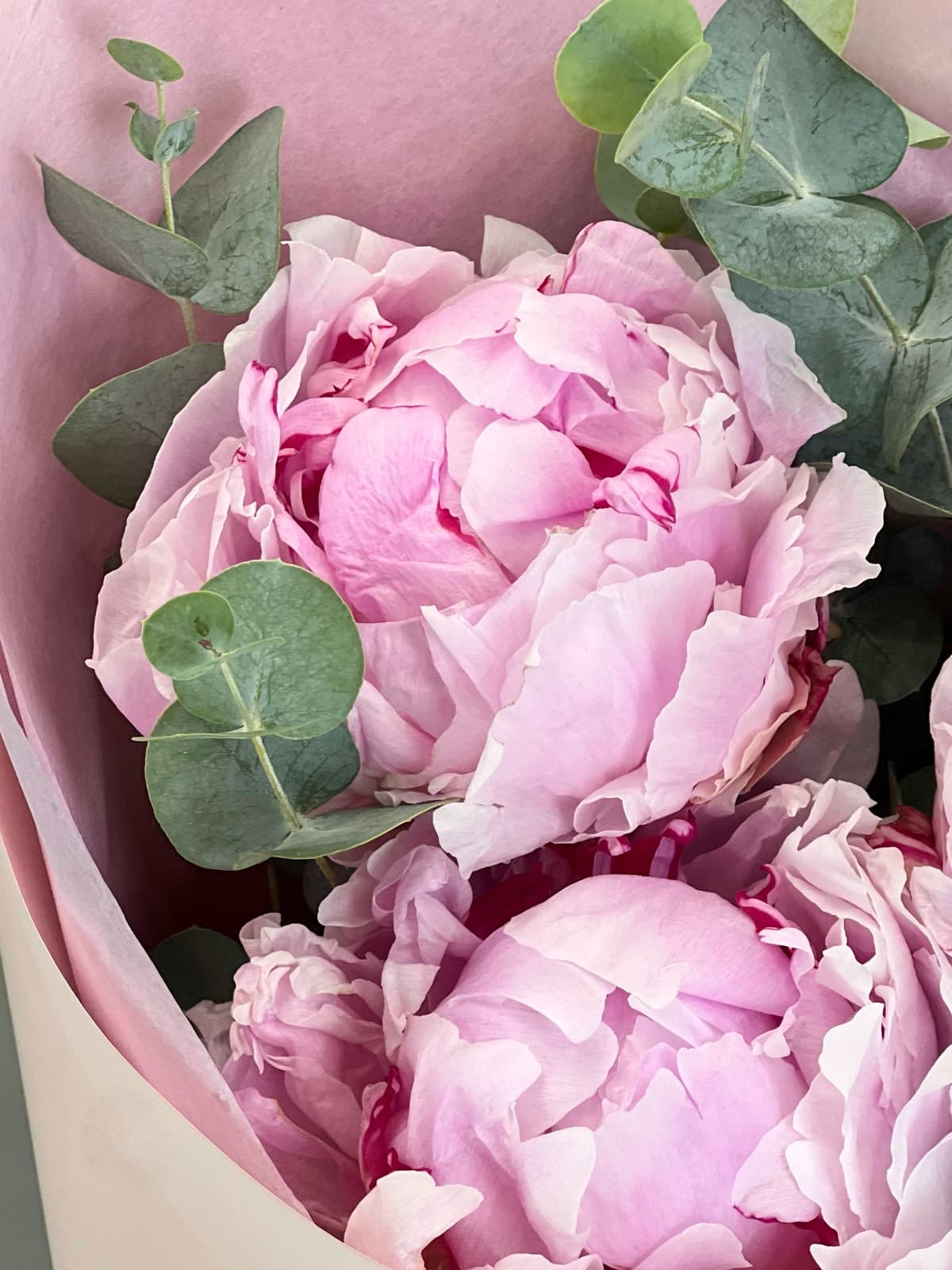 Букет пионов "Sara" S