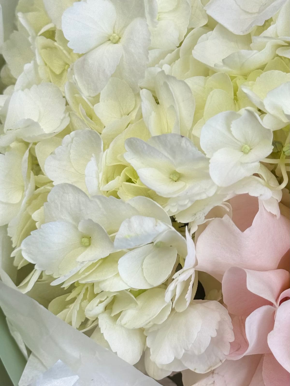 Букет "Полли"