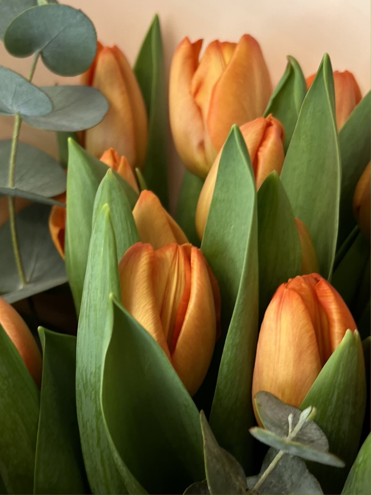 Букет "Привет весна" оранжевый