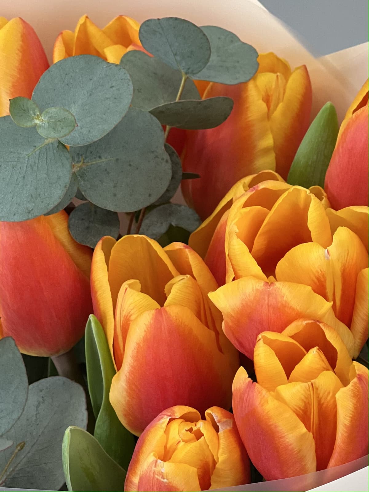 Букет тюльпанов "Nemo" M