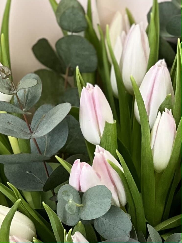 Свежий букет тюльпанов "Pinky" XXS