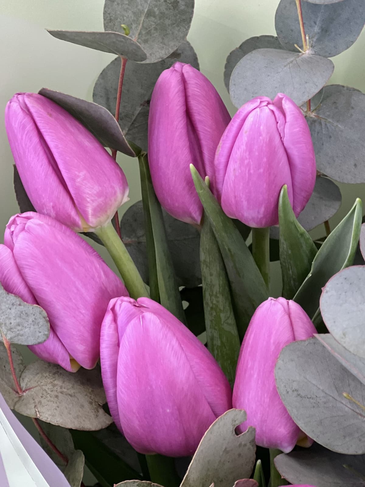 Букет тюльпанов "Lilu" M