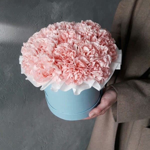 Нежный букет в шляпной коробке из 25 диантусов