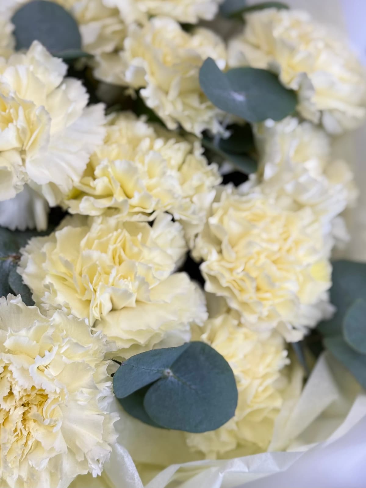 Букет "Встреча с тобой" сливочный S