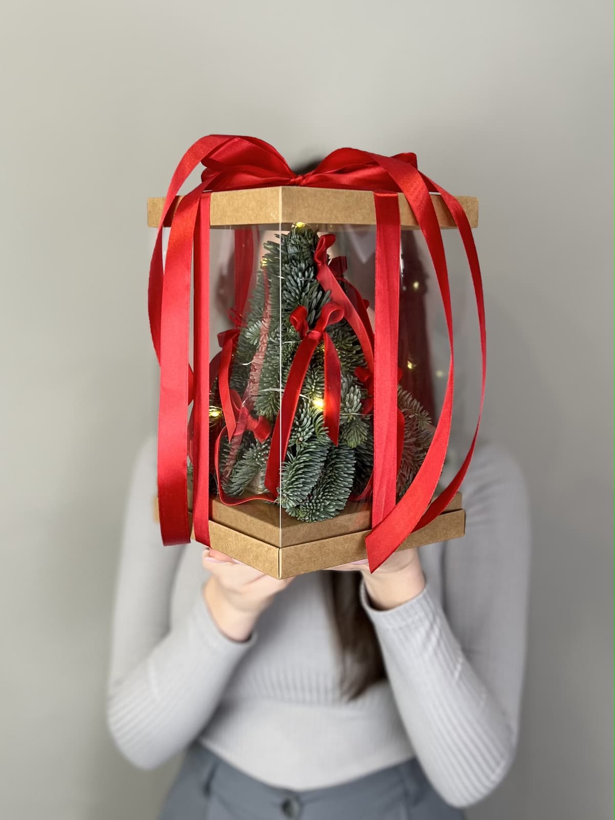 Елка в подарочной упаковке "Красная" S с гирляндой