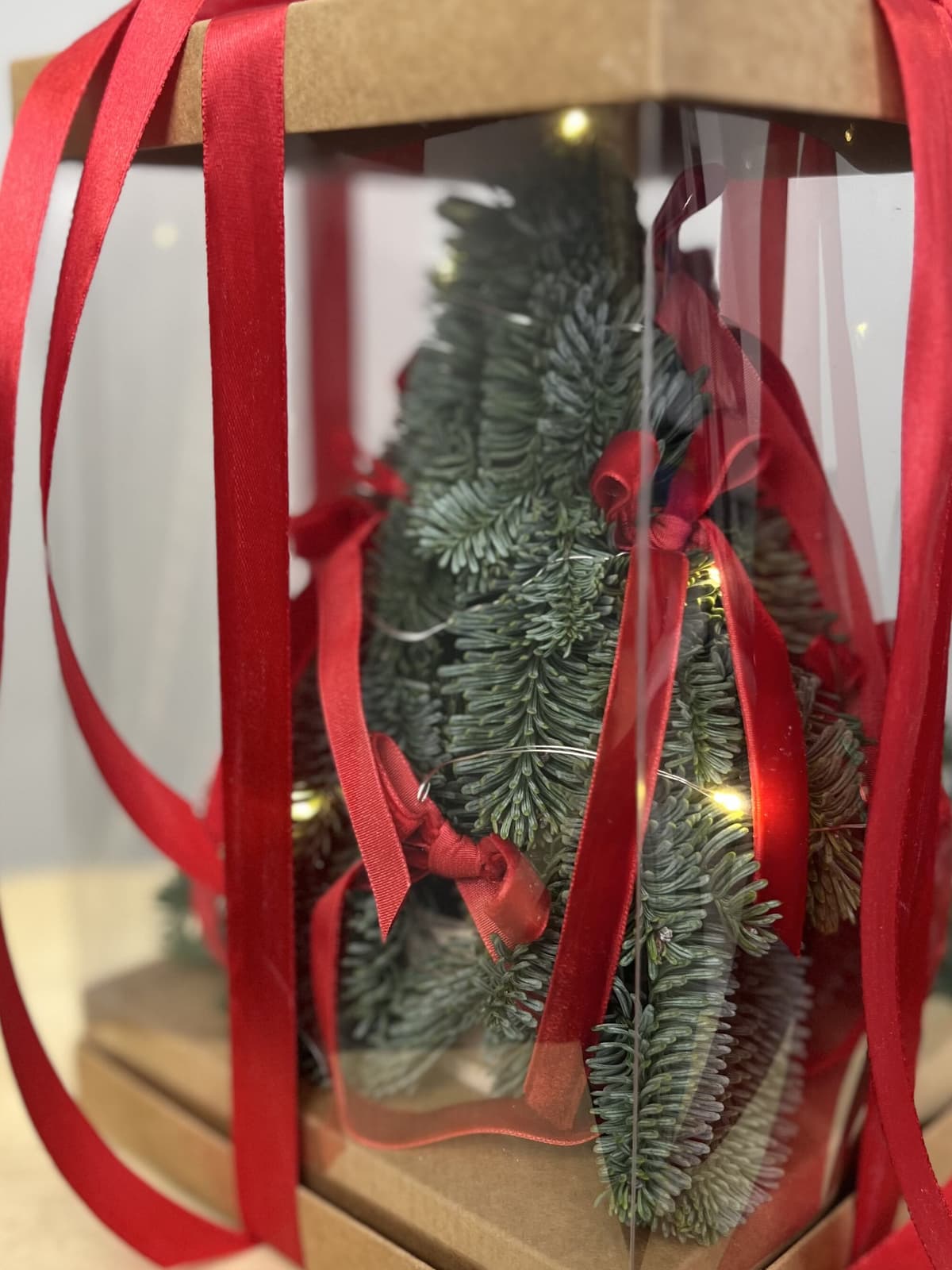 Елка в подарочной упаковке "Красная" S с гирляндой