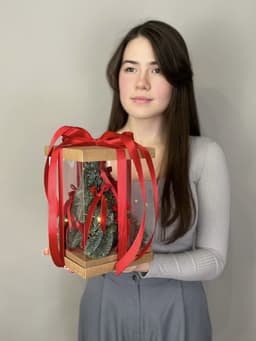 Елка в подарочной упаковке "Красная" S с гирляндой