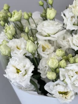 Эустома (Лизиантус) белая