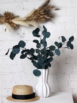 Эвкалипт стабилизированный Популус