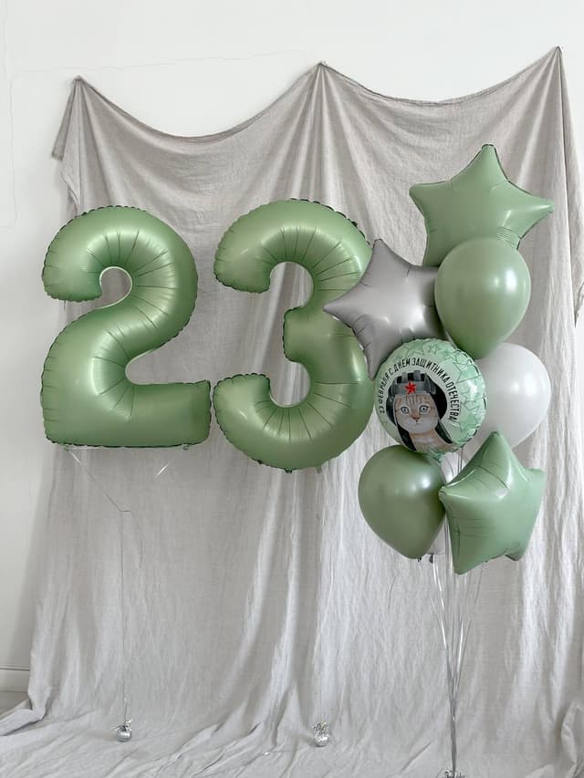 Фонтан из шаров «23 февраля.Кот» Фонтан из шаров «23 февраля.Кот»