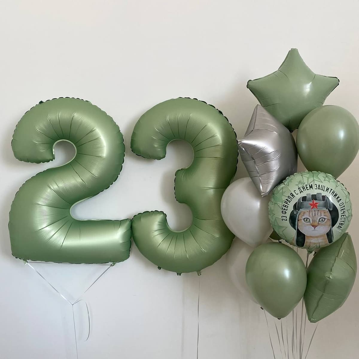 Фонтан из шаров «23 февраля.Кот»