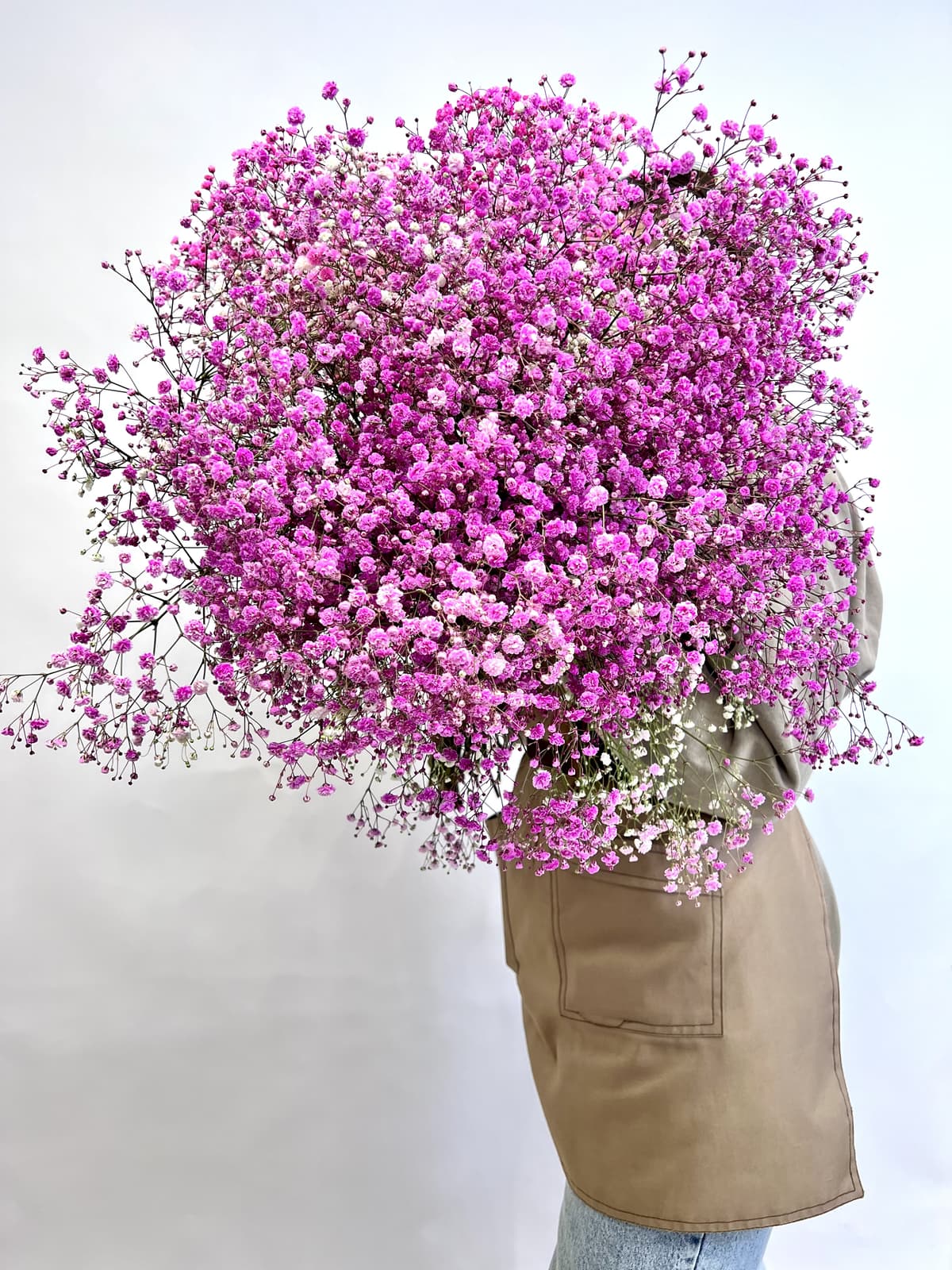 Гипсофила крашенная розовая