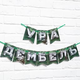 Гирлянда на ленте «Дембель», длина 250 см
