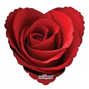 K Сердце 732 Роза красная 18"/45см K Сердце 732 Роза красная 18"/45см