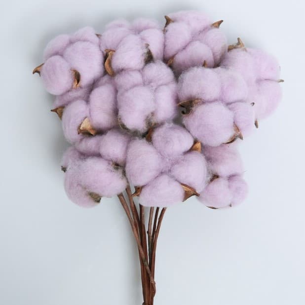 Хлопок цветной Хлопок цветной