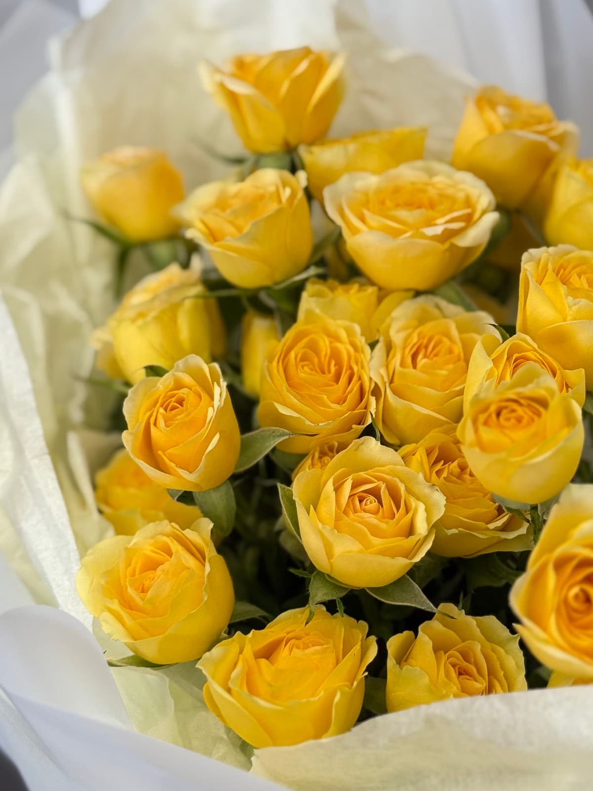 МЕГА АКЦИЯ Классический букет из 7 желтых кустовых роз