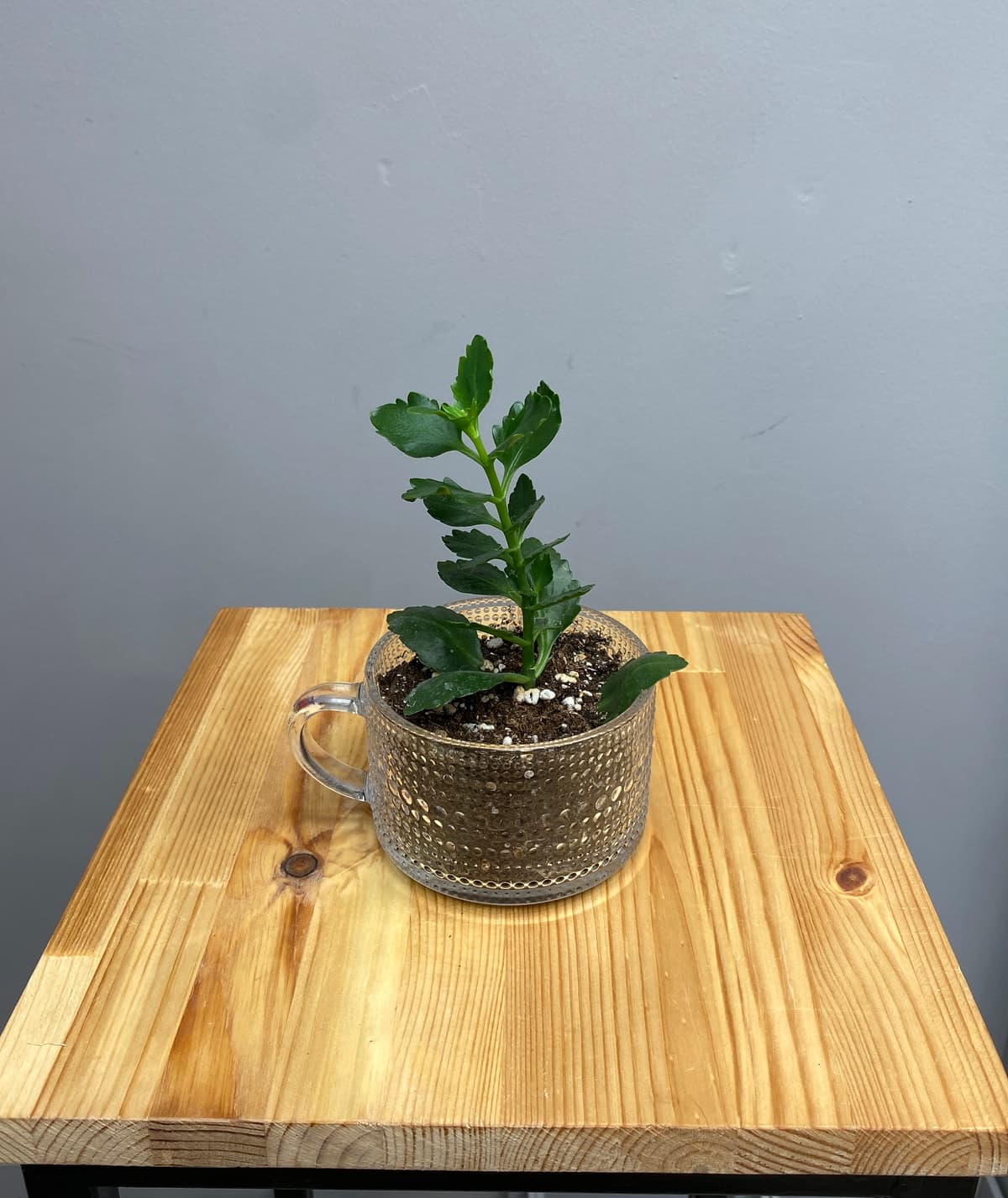 Композиция Бикбая 30214062