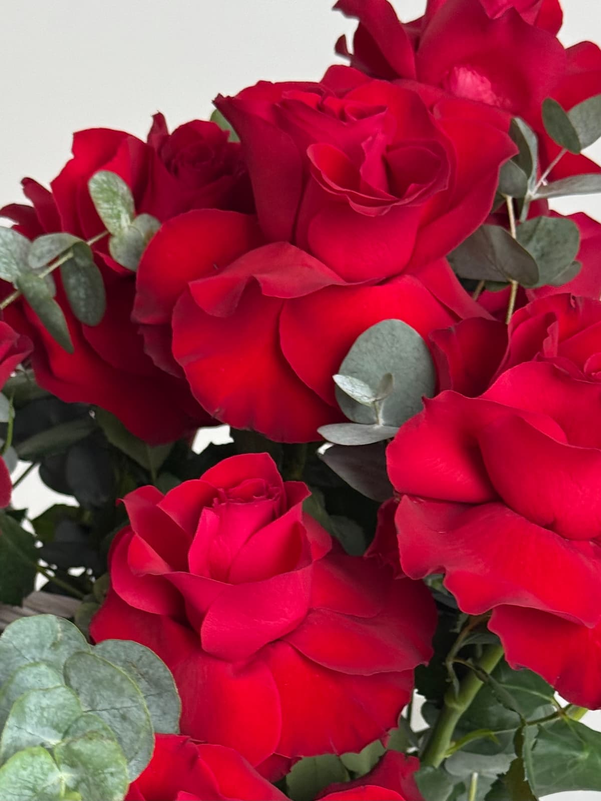 Композиция из 25 французских роз в корзине