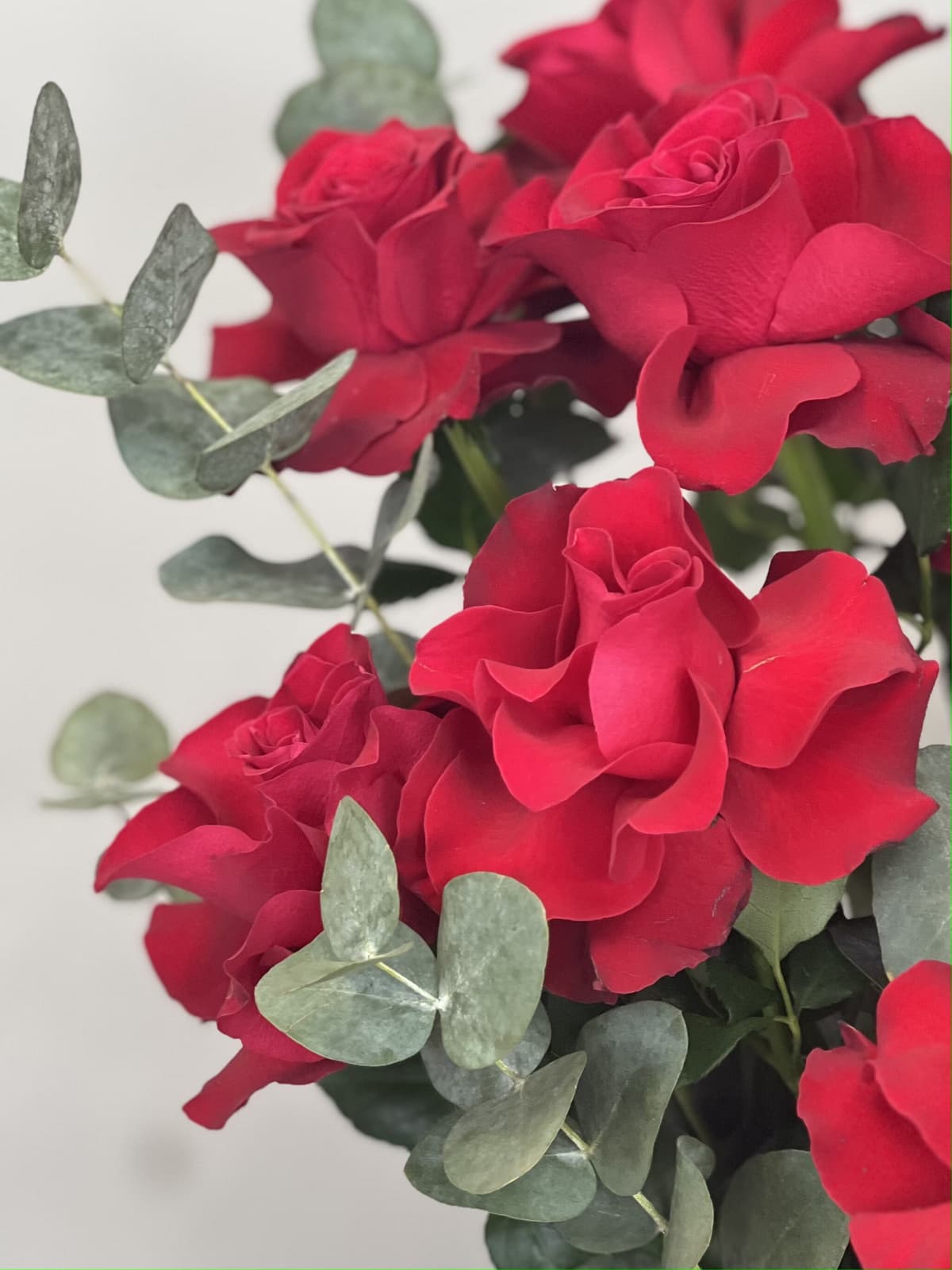 Композиция из французских роз "Cupid"