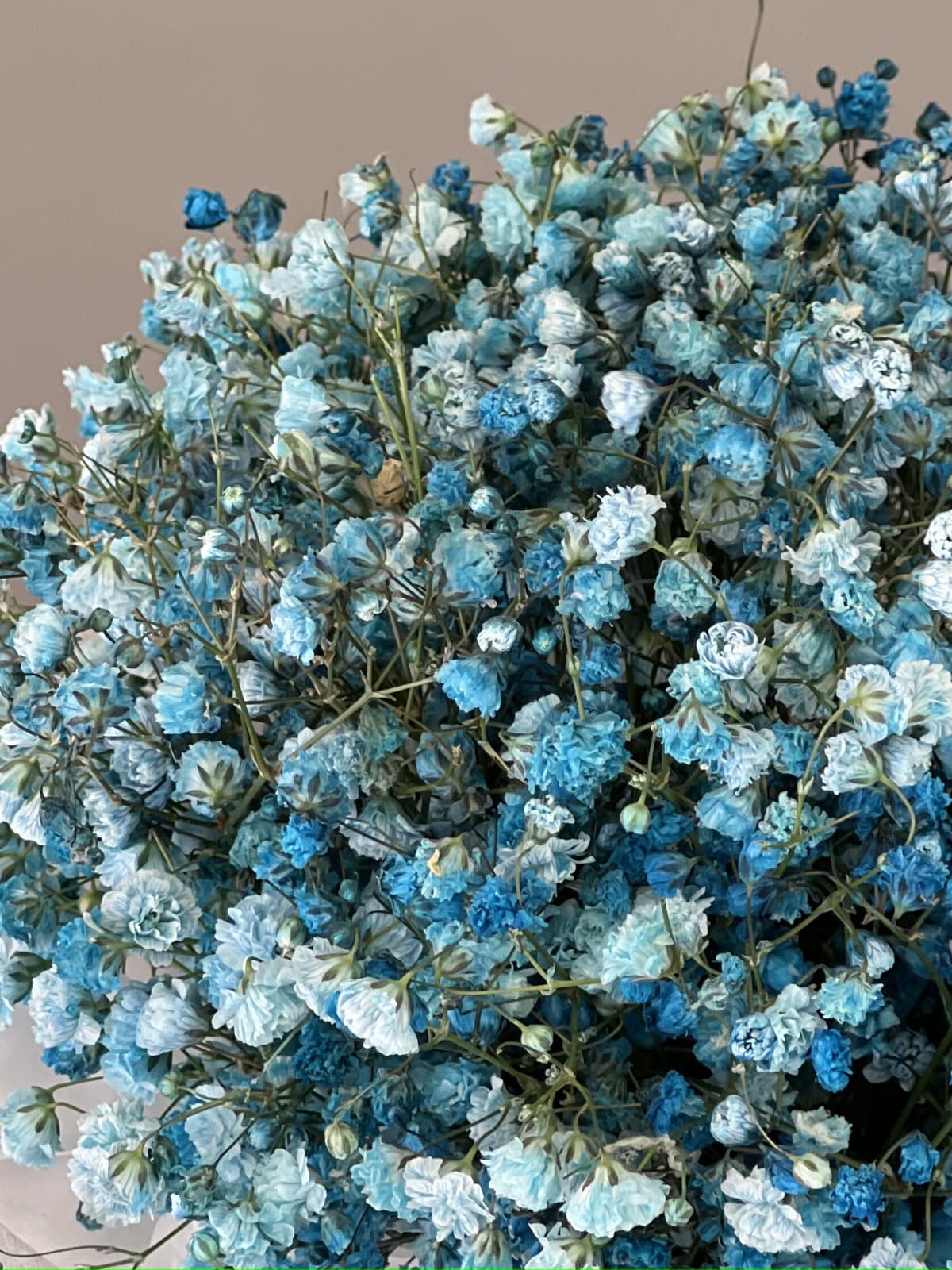 Композиция из гипсофилы в коробке "Blue" S