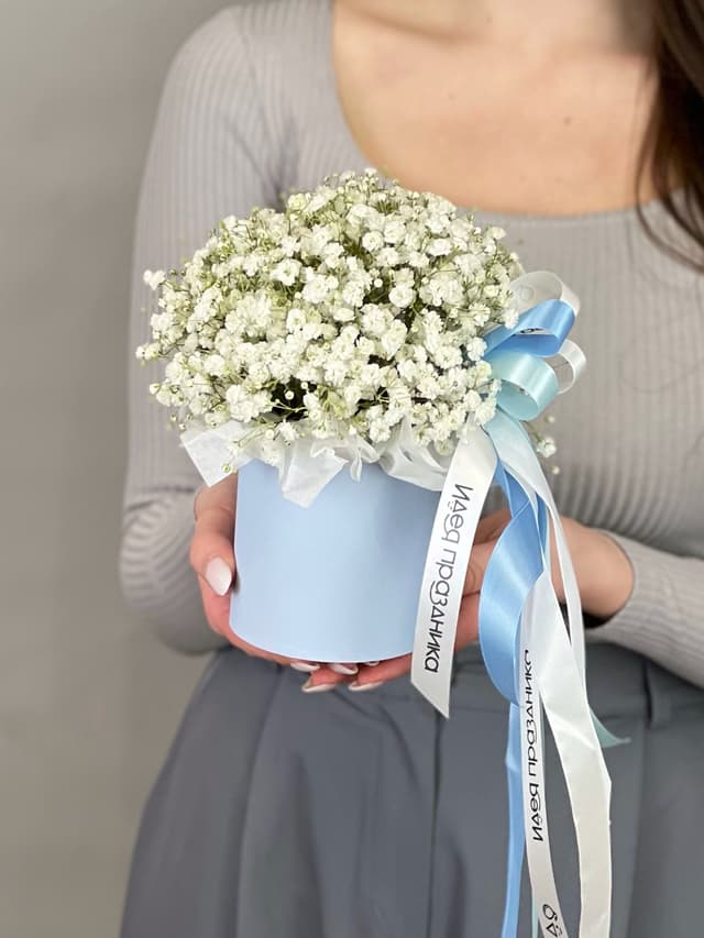 Композиция из гипсофилы в коробке "White" S Композиция из гипсофилы в коробке "White" S