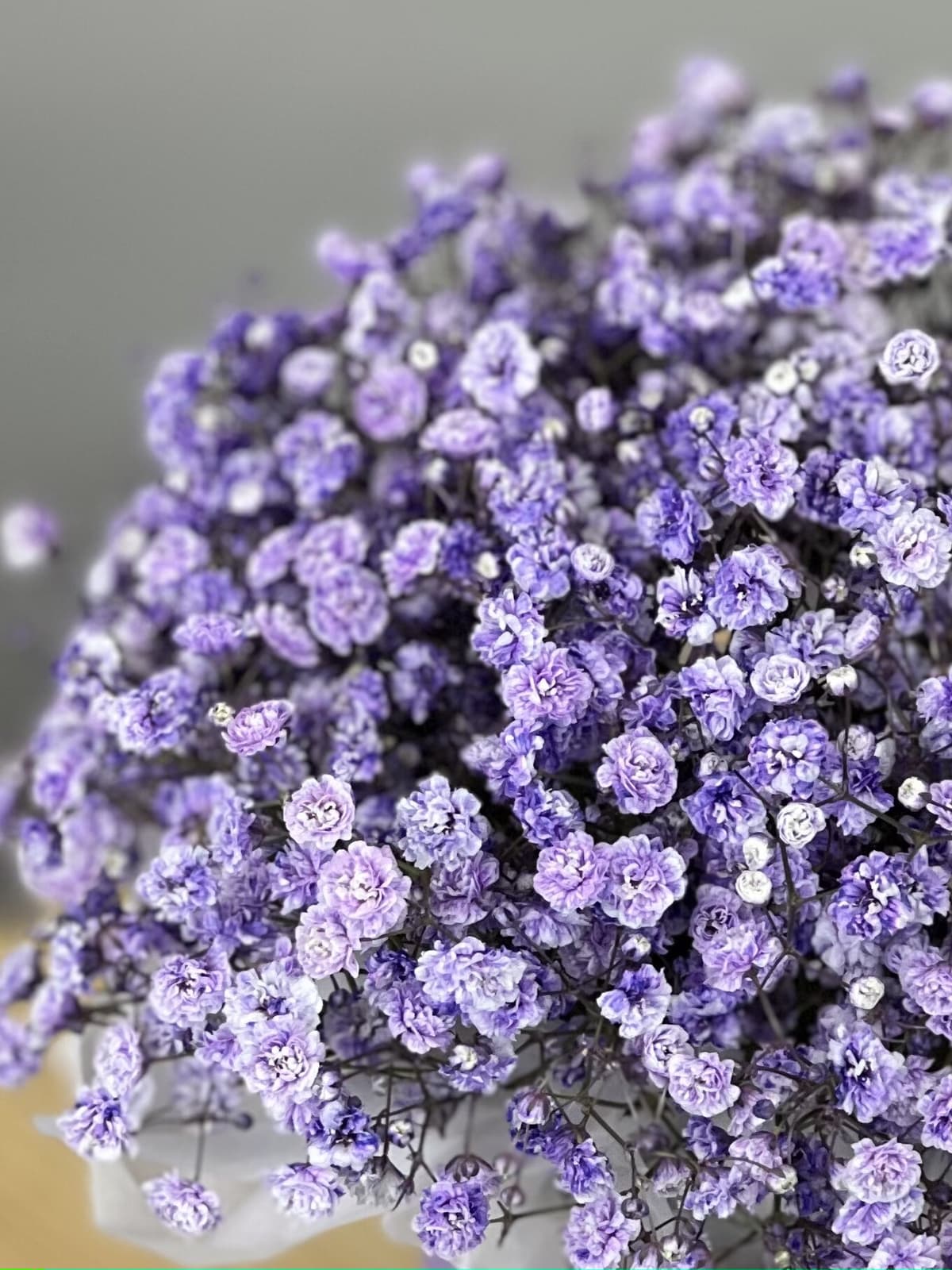 Композиция из гипсофилы в сумочке "Lavander" XS