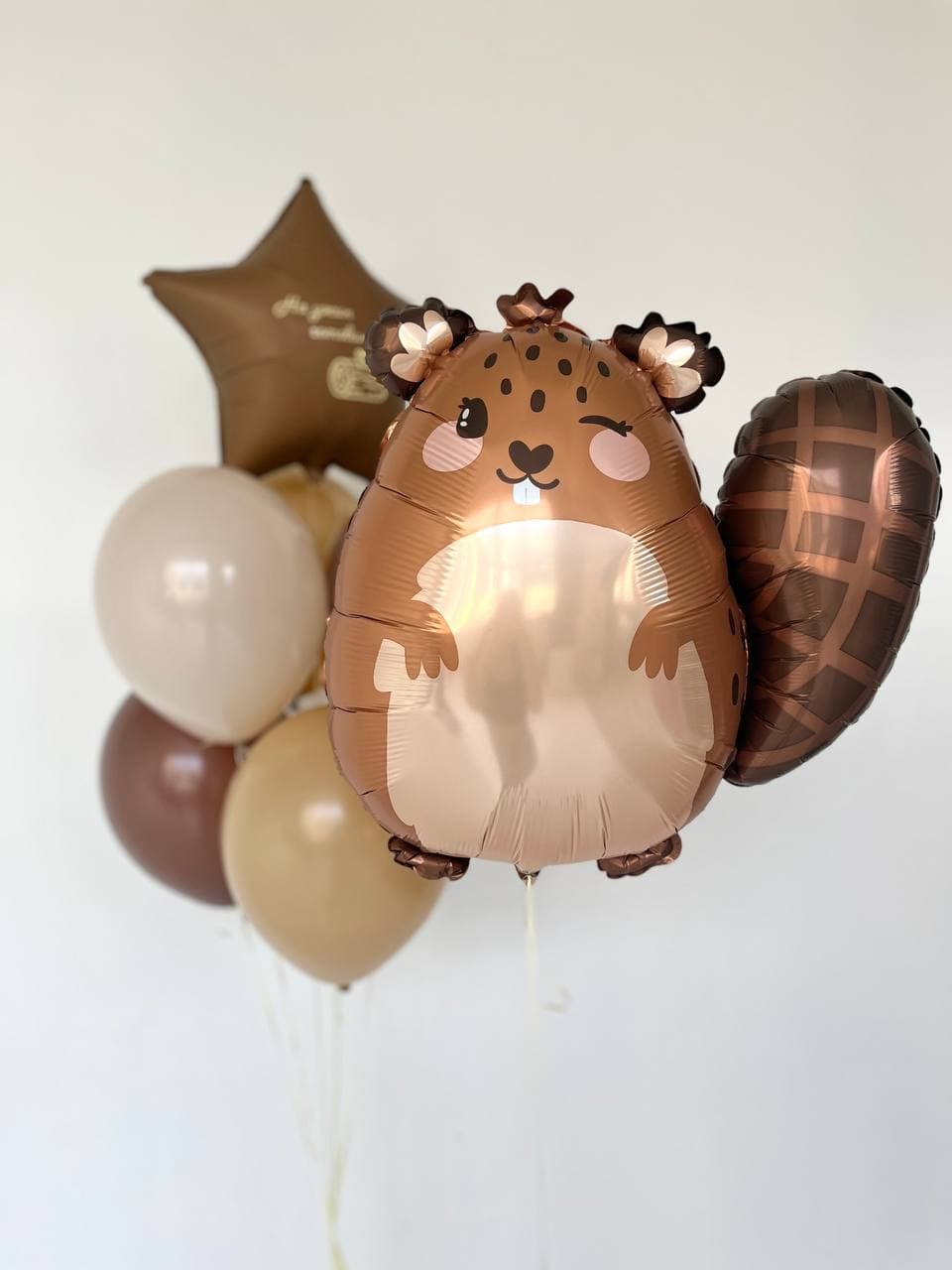 Композиция из шаров «Сидим с бобром»